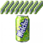 웰치스 청포도 355ml (24캔) x 2박스