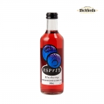 [한국쥬맥스] 빅포드 에스프리 블루베리 300ml (24병)