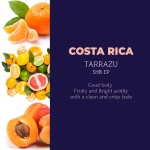 코스타리카 따라주 SHB 전형적인 클래식 원두커피 500g