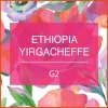 에티오피아 예가체프 G2 싱글오리진 원두커피 500g+500g