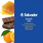 [퍼플빈]엘살바도르 샤스타 SHG EP 원두커피 500g