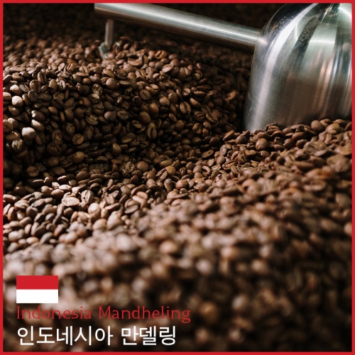 인도네시아 만델링 G1 수마트라 원두커피 500g+500g