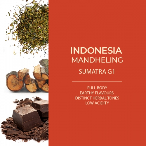인도네시아 만델링 G1 수마트라 원두커피 500g
