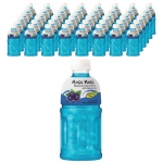 모구모구 블랙 커런트 320ml (24페트) x 2박스