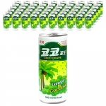 코코포도 240ml (30캔) x 2박스