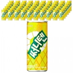 써니텐 파인애플 250ml (30캔) x 2박스
